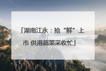 湖南江永：抢“鲜”上市 供港蔬菜采收忙