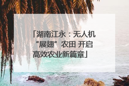 湖南江永：无人机“展翅”农田 开启高效农业新篇章