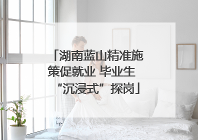 湖南蓝山精准施策促就业 毕业生“沉浸式”探岗