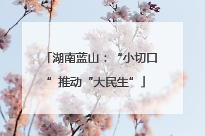 湖南蓝山：“小切口”推动“大民生”