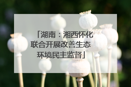 湖南：湘西怀化联合开展改善生态环境民主监督
