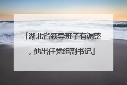 湖北省领导班子有调整，他出任党组副书记