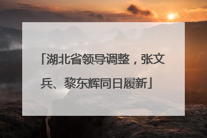 湖北省领导调整，张文兵、黎东辉同日履新