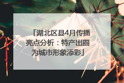 湖北区县4月传播亮点分析：特产出圈为城市形象添彩