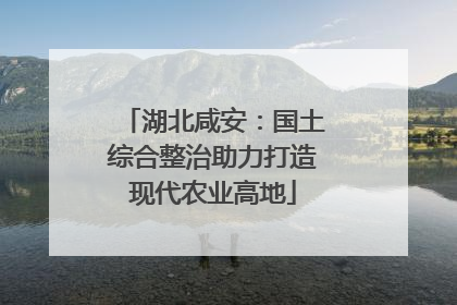 湖北咸安：国土综合整治助力打造现代农业高地
