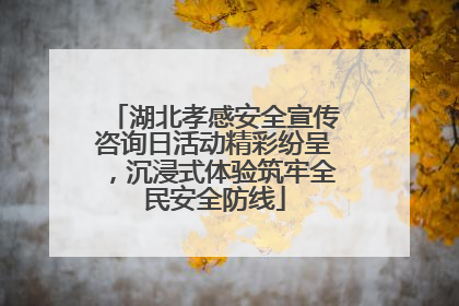 湖北孝感安全宣传咨询日活动精彩纷呈，沉浸式体验筑牢全民安全防线