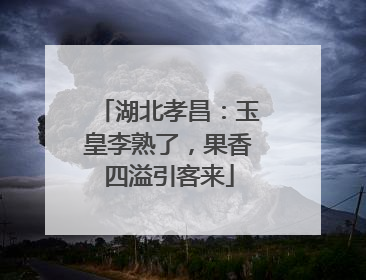 湖北孝昌：玉皇李熟了，果香四溢引客来