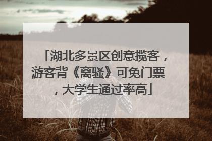 湖北多景区创意揽客，游客背《离骚》可免门票，大学生通过率高