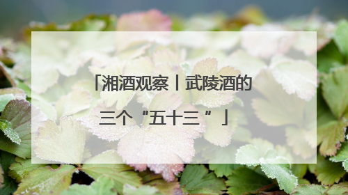 湘酒观察丨武陵酒的三个“五十三 ”