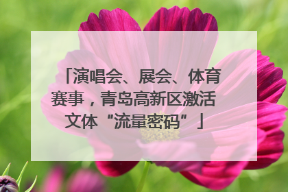 演唱会、展会、体育赛事，青岛高新区激活文体“流量密码”