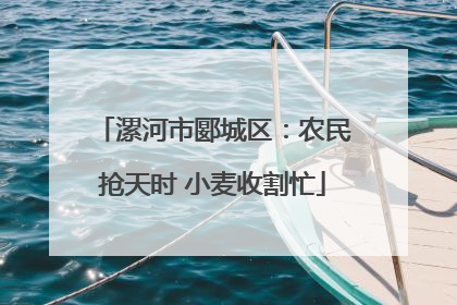 漯河市郾城区：农民抢天时 小麦收割忙