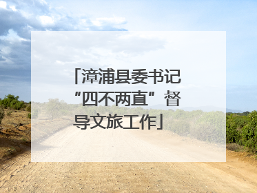 漳浦县委书记“四不两直”督导文旅工作