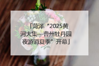 菏泽“2025黄河大集—曹州牡丹园夜游消夏季”开幕