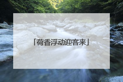 荷香浮动迎客来