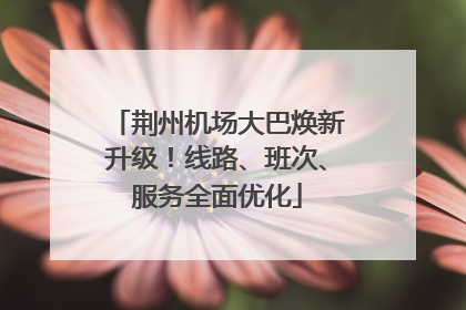 荆州机场大巴焕新升级！线路、班次、服务全面优化