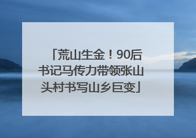 荒山生金！90后书记马传力带领张山头村书写山乡巨变