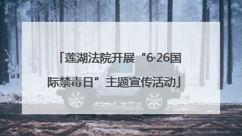 莲湖法院开展“6·26国际禁毒日”主题宣传活动