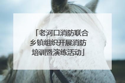 老河口消防联合乡镇组织开展消防培训暨演练活动