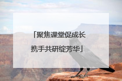 聚焦课堂促成长 携手共研绽芳华