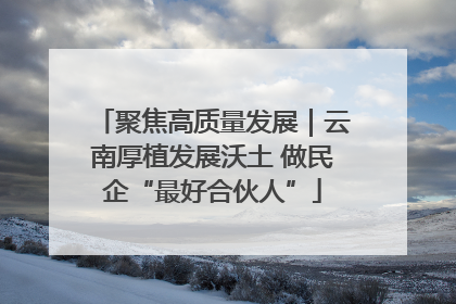 聚焦高质量发展｜云南厚植发展沃土 做民企“最好合伙人”