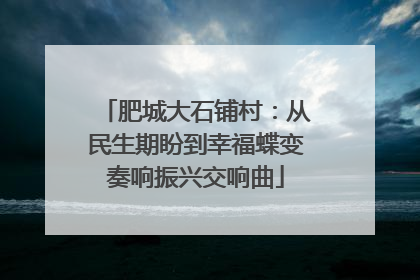 肥城大石铺村：从民生期盼到幸福蝶变奏响振兴交响曲