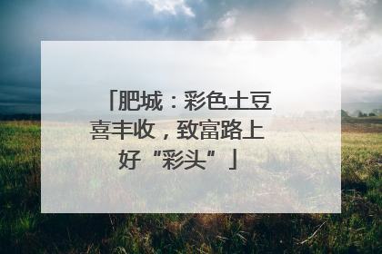 肥城：彩色土豆喜丰收，致富路上好“彩头”