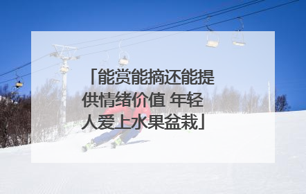 能赏能摘还能提供情绪价值 年轻人爱上水果盆栽