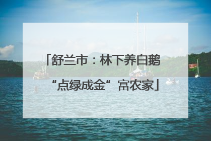 舒兰市：林下养白鹅 “点绿成金”富农家