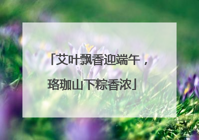 艾叶飘香迎端午，珞珈山下粽香浓