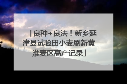 良种+良法！新乡延津县试验田小麦刷新黄淮麦区高产记录