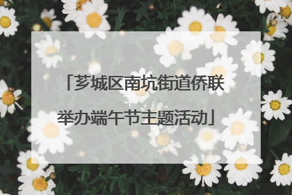 芗城区南坑街道侨联举办端午节主题活动