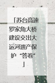 苏台高速罗家角大桥建设交出大运河遗产保护“答卷”