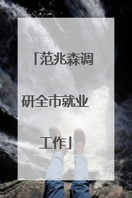 范兆森调研全市就业工作