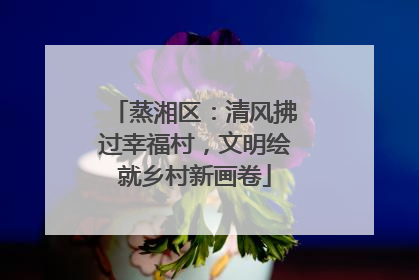 蒸湘区：清风拂过幸福村，文明绘就乡村新画卷