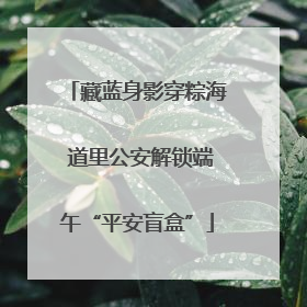 藏蓝身影穿粽海 道里公安解锁端午“平安盲盒”