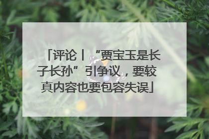 评论丨“贾宝玉是长子长孙”引争议，要较真内容也要包容失误