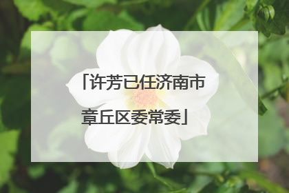 许芳已任济南市章丘区委常委