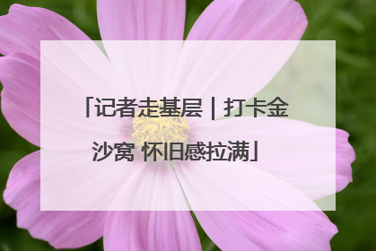 记者走基层｜打卡金沙窝 怀旧感拉满