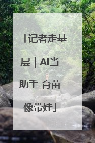 记者走基层｜AI当助手 育苗像带娃