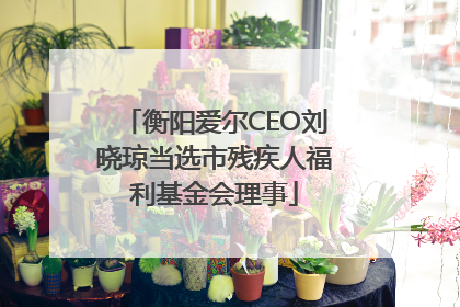 衡阳爱尔CEO刘晓琼当选市残疾人福利基金会理事