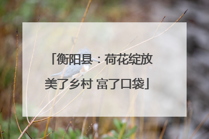 衡阳县：荷花绽放 美了乡村 富了口袋