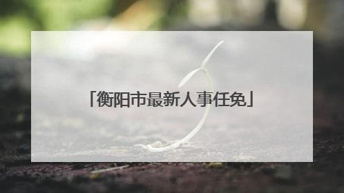衡阳市最新人事任免
