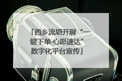 西乡流塘开展“一键下单·心愿速达”数字化平台宣传
