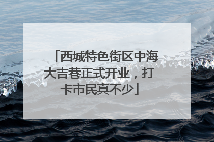 西城特色街区中海大吉巷正式开业，打卡市民真不少