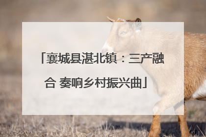 襄城县湛北镇：三产融合 奏响乡村振兴曲