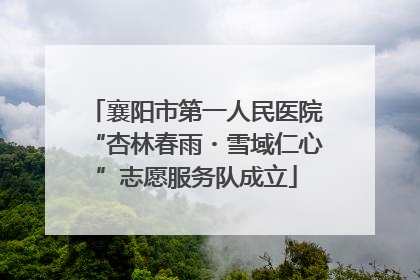 襄阳市第一人民医院“杏林春雨・雪域仁心”志愿服务队成立