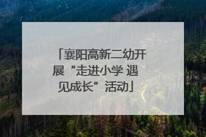 襄阳高新二幼开展“走进小学 遇见成长”活动