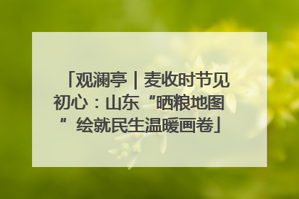 观澜亭｜麦收时节见初心：山东“晒粮地图”绘就民生温暖画卷