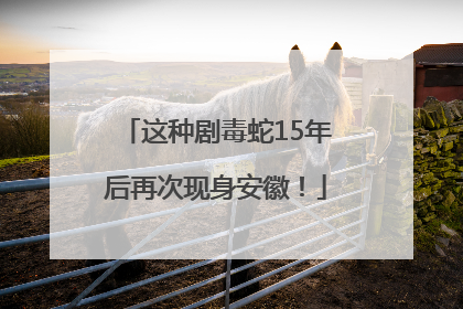 这种剧毒蛇15年后再次现身安徽！