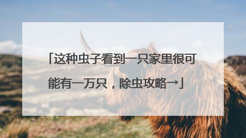 这种虫子看到一只家里很可能有一万只，除虫攻略→